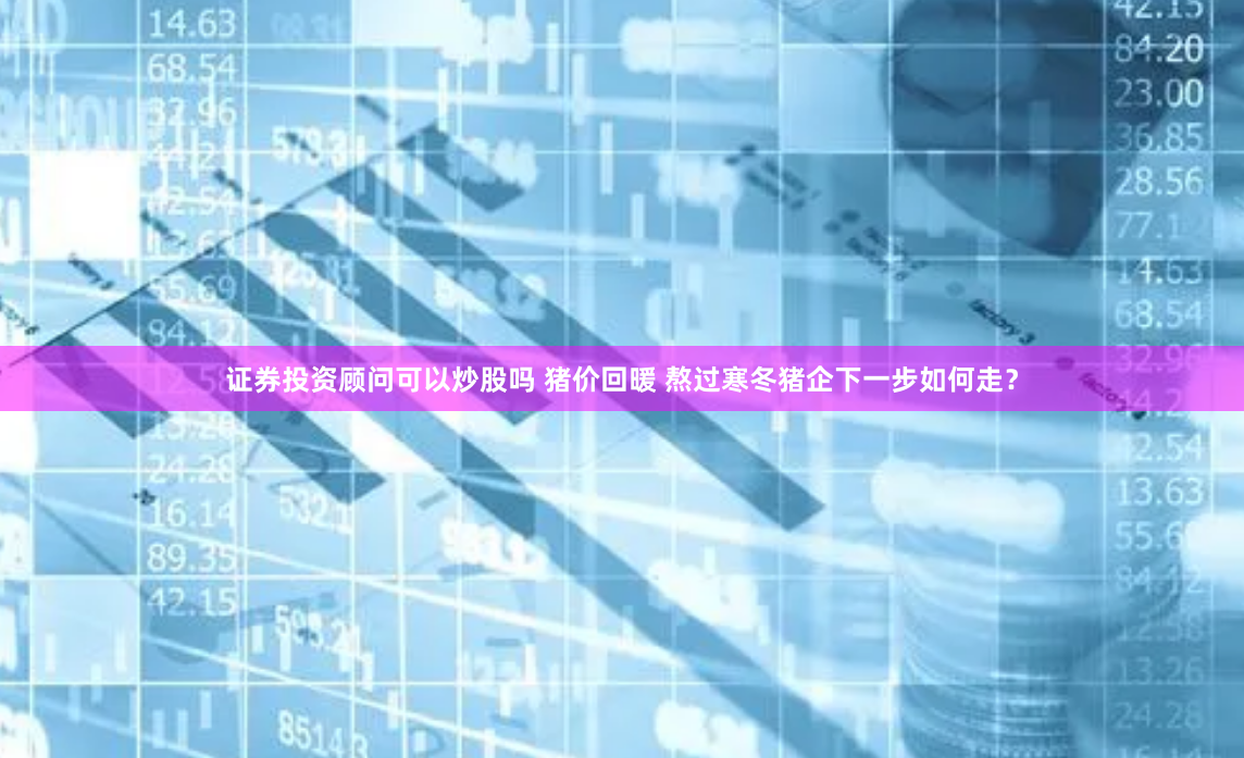 证券投资顾问可以炒股吗 猪价回暖 熬过寒冬猪企下一步如何走？
