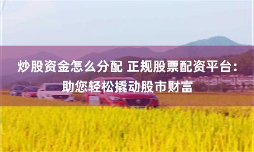 炒股资金怎么分配 正规股票配资平台:助您轻松撬动股市财富